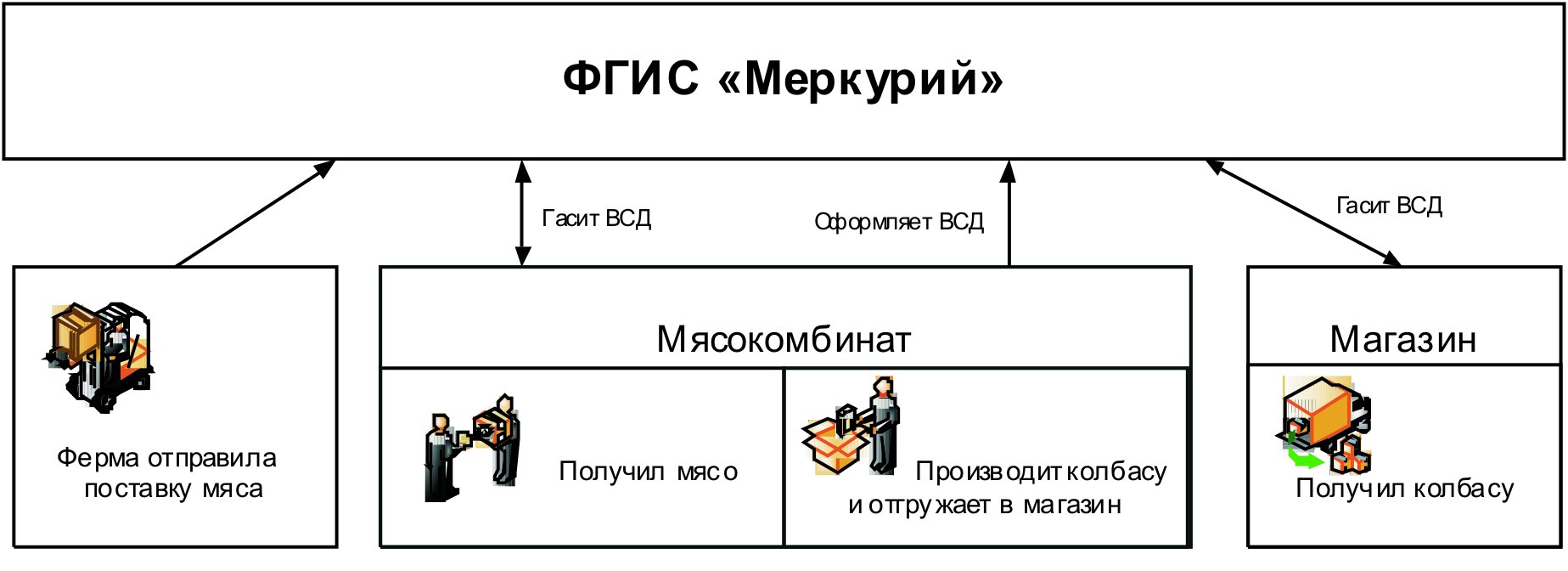 фгис меркурий официальный сайт регистрация