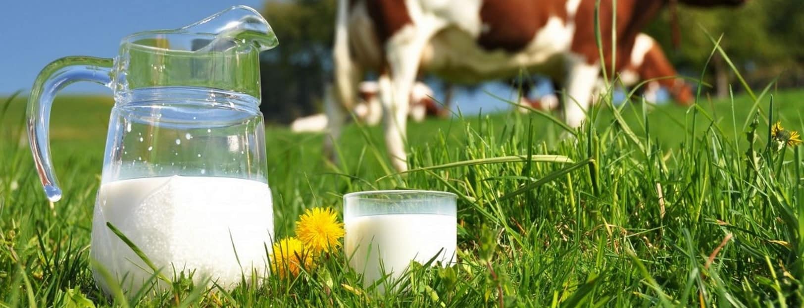 регистрация в системе Меркурий